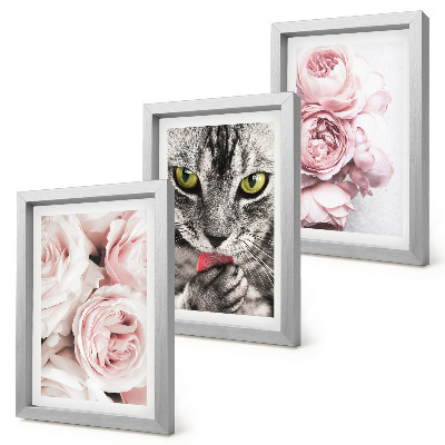 Tavelvägg med 3 tavlor En katt bland rosa blommor av rosor och pioner