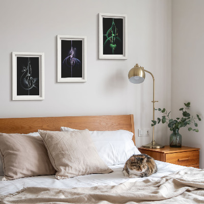 Posterpaket Abstrakta mönster i nyanser av svart och färg