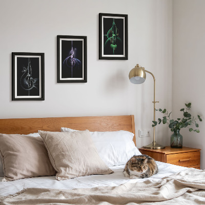 Posterpaket Abstrakta mönster i nyanser av svart och färg