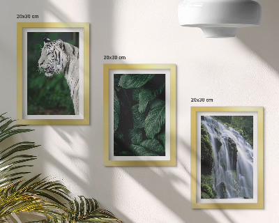Tavelvägg med 3 tavlor Vita tigerblad och vattenfall i naturlig omgivning