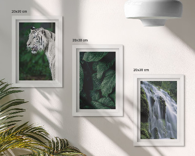 Tavelvägg med 3 tavlor Vita tigerblad och vattenfall i naturlig omgivning