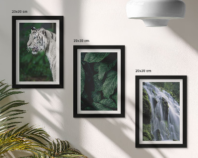 Tavelvägg med 3 tavlor Vita tigerblad och vattenfall i naturlig omgivning