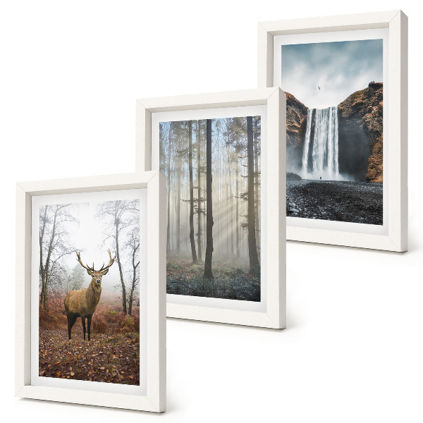 Posterpaket Skogslandskap vild natur hjort