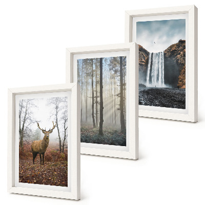 Posterpaket Skogslandskap vild natur hjort