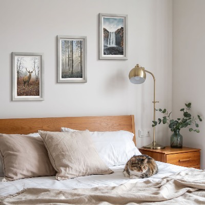 Posterpaket Skogslandskap vild natur hjort