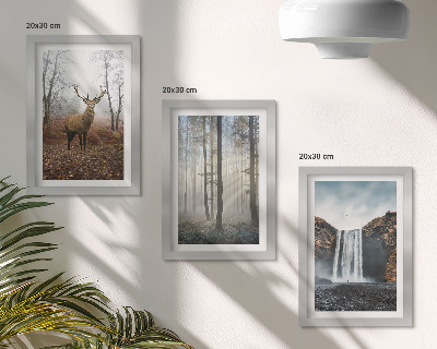 Posterpaket Skogslandskap vild natur hjort