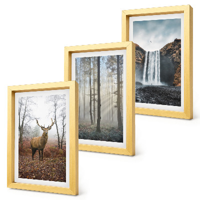 Posterpaket Skogslandskap vild natur hjort