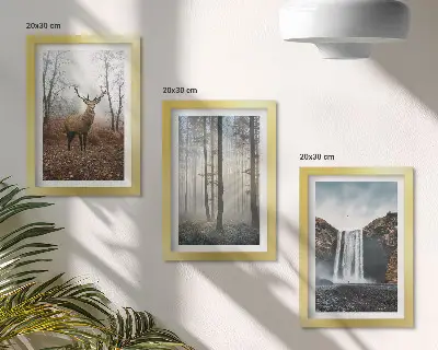 Posterpaket med motiv av skogslandskap och vild natur med hjort