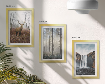 Posterpaket Skogslandskap vild natur hjort