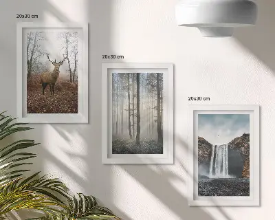 Posterpaket med motiv av skogslandskap och vild natur med hjort