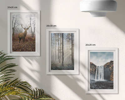 Posterpaket Skogslandskap vild natur hjort