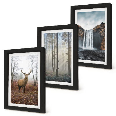 Posterpaket Skogslandskap vild natur hjort