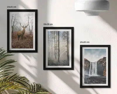 Posterpaket med motiv av skogslandskap och vild natur med hjort