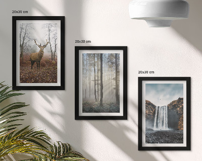 Posterpaket Skogslandskap vild natur hjort