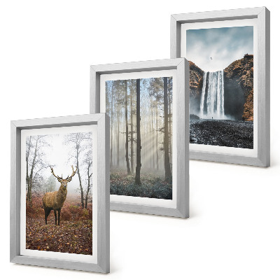 Posterpaket Skogslandskap vild natur hjort