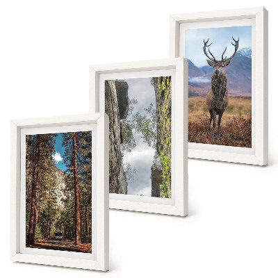 Tavelvägg med 3 tavlor Väg i skogen, berg och rådjur i naturen