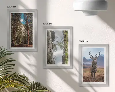 Tavelvägg med 3 tavlor med motiv av skogsväg, berg och rådjur
