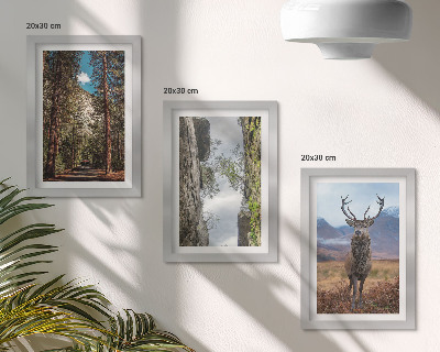 Tavelvägg med 3 tavlor Väg i skogen, berg och rådjur i naturen