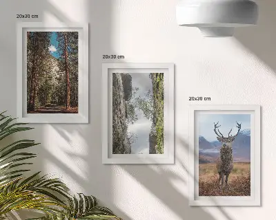 Tavelvägg med 3 tavlor med motiv av skogsväg, berg och rådjur