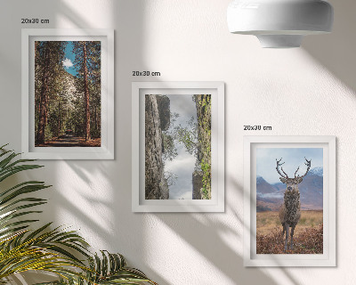Tavelvägg med 3 tavlor Väg i skogen, berg och rådjur i naturen