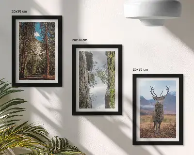 Tavelvägg med 3 tavlor med motiv av skogsväg, berg och rådjur