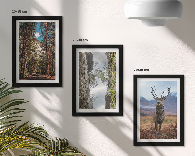 Tavelvägg med 3 tavlor Väg i skogen, berg och rådjur i naturen