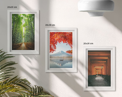 Posterpaket Bambuskogen Mount Fuji Torii-stigen landskap i Japan