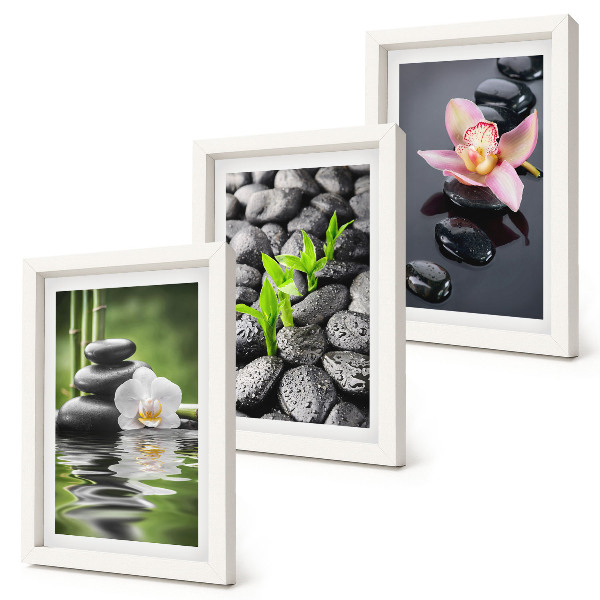 Posterpaket En fridfull zenkomposition av stenar och blommor på vatten