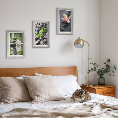 Posterpaket En fridfull zenkomposition av stenar och blommor på vatten