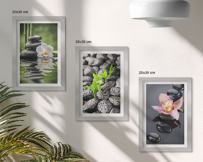 Posterpaket En fridfull zenkomposition av stenar och blommor på vatten
