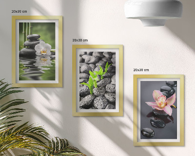 Posterpaket En fridfull zenkomposition av stenar och blommor på vatten