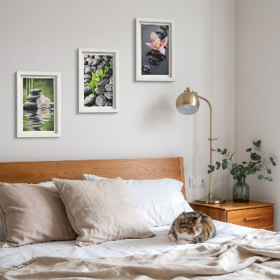 Posterpaket En fridfull zenkomposition av stenar och blommor på vatten
