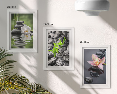 Posterpaket En fridfull zenkomposition av stenar och blommor på vatten