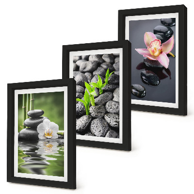 Posterpaket En fridfull zenkomposition av stenar och blommor på vatten