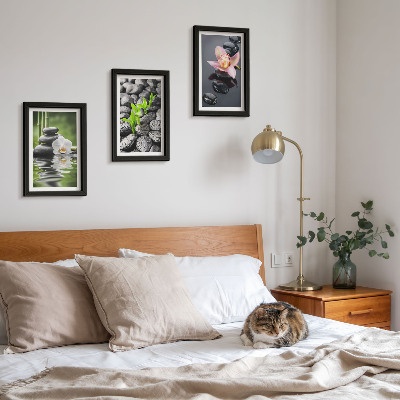 Posterpaket En fridfull zenkomposition av stenar och blommor på vatten