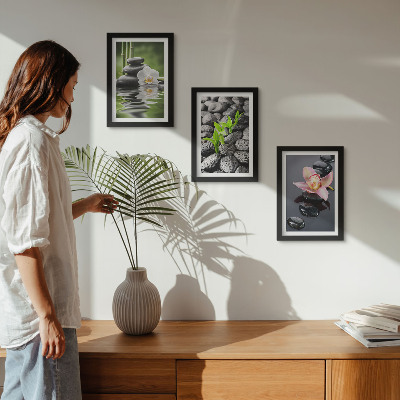 Posterpaket En fridfull zenkomposition av stenar och blommor på vatten