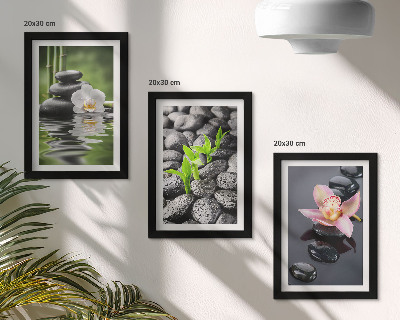 Posterpaket En fridfull zenkomposition av stenar och blommor på vatten