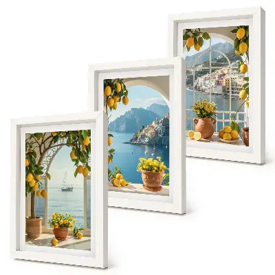 Tavelvägg med 3 tavlor med motiv av citroner och blommor i krukor vid kusten