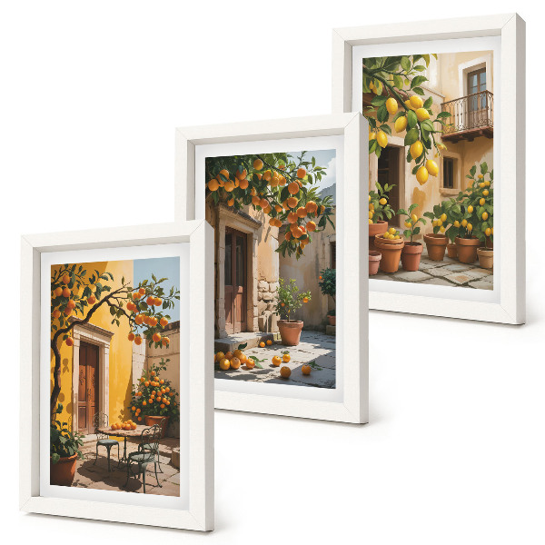 Posterpaket Citrusfrukter på en solig innergård med växter