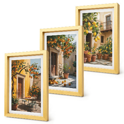 Posterpaket Citrusfrukter på en solig innergård med växter