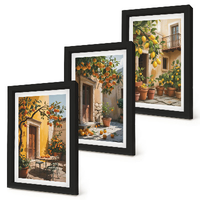 Posterpaket Citrusfrukter på en solig innergård med växter