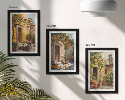 Posterpaket Citrusfrukter på en solig innergård med växter