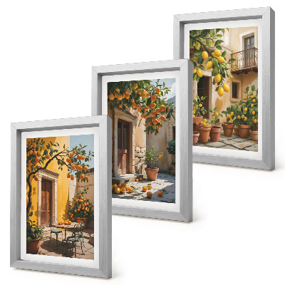Posterpaket Citrusfrukter på en solig innergård med växter