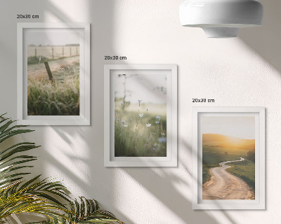 Posterpaket Landskap med äng, väg och solnedgång