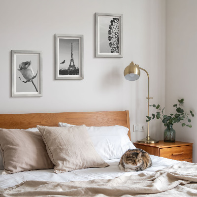 Triptyk tavla med ram Rose Eiffeltornet och pariserhjulet i monokrom