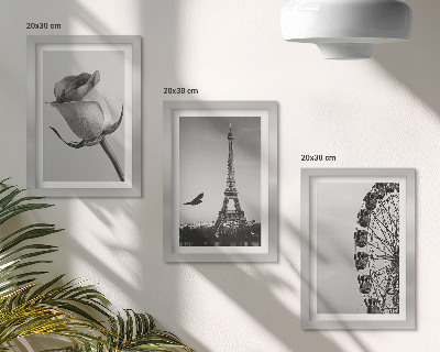 Triptyk tavla med ram Rose Eiffeltornet och pariserhjulet i monokrom