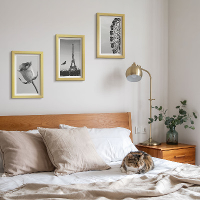 Triptyk tavla med ram Rose Eiffeltornet och pariserhjulet i monokrom