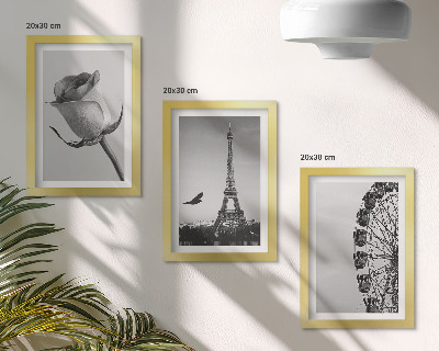 Triptyk tavla med ram Rose Eiffeltornet och pariserhjulet i monokrom