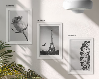 Triptyk tavla med ram Rose Eiffeltornet och pariserhjulet i monokrom