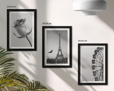Triptyk tavla med ram Rose Eiffeltornet och pariserhjulet i monokrom